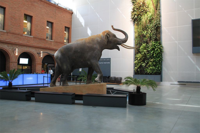 Toulouse Museum