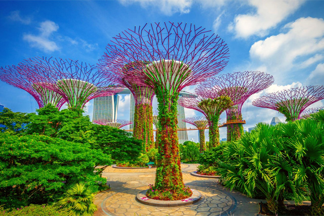 Gardens by the Bay