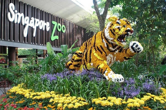Singapore Zoo