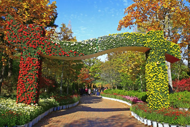 大邱樹木園