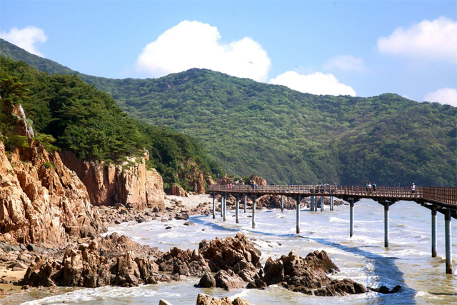 Vestiti da ballo isola