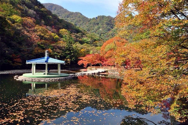 内蔵山国立公園