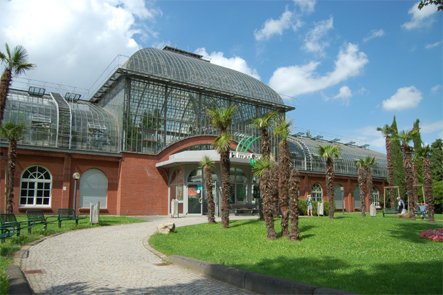 Palm Garden