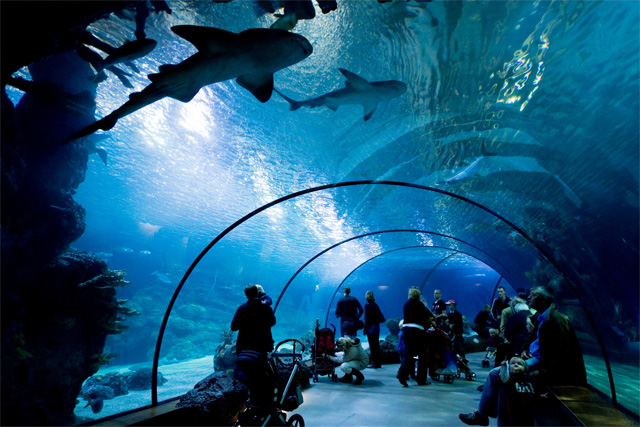Rotterdam Zoo
