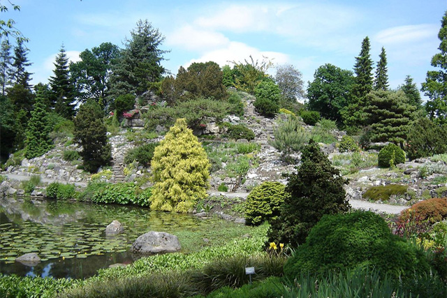 大学植物園