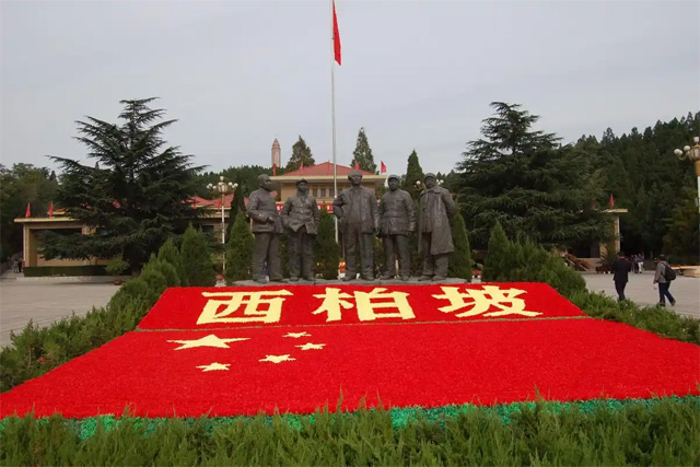 西柏坂