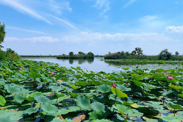 Mingcui Lake National Wetland Park