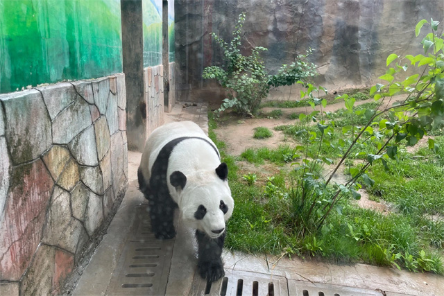 Xining Wildlife Park