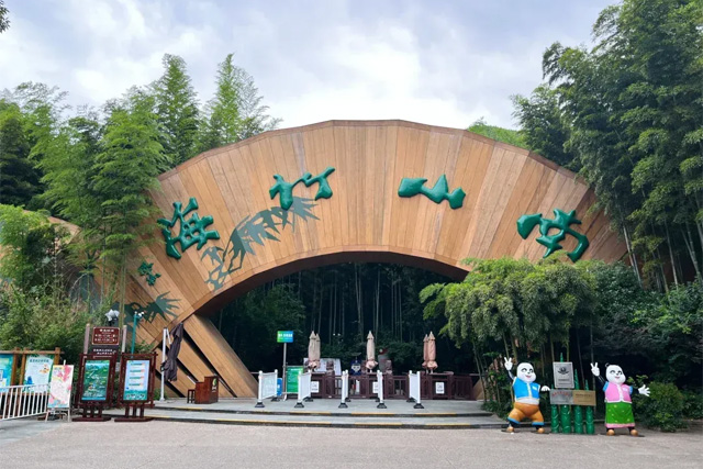 Nanshan Bamboo Sea