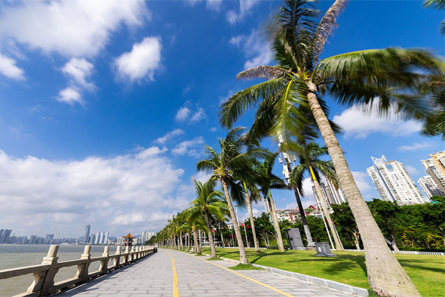 Lovers Road