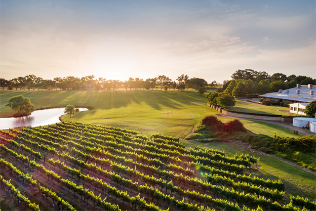 Swan Valley