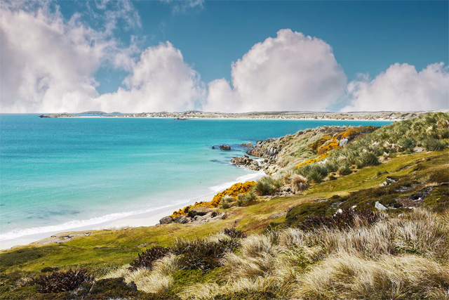 Falkland Islands
