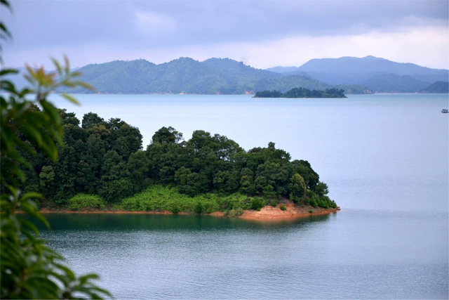 Xinfengjiang Forest Park
