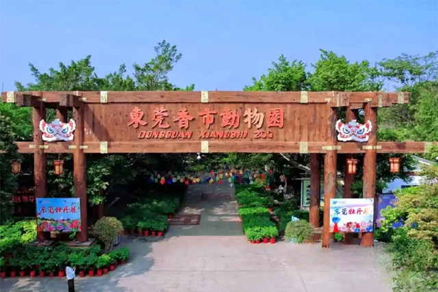 Zoo di Dongguan Xiangshi
