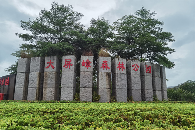Daping Zhang Forest Park