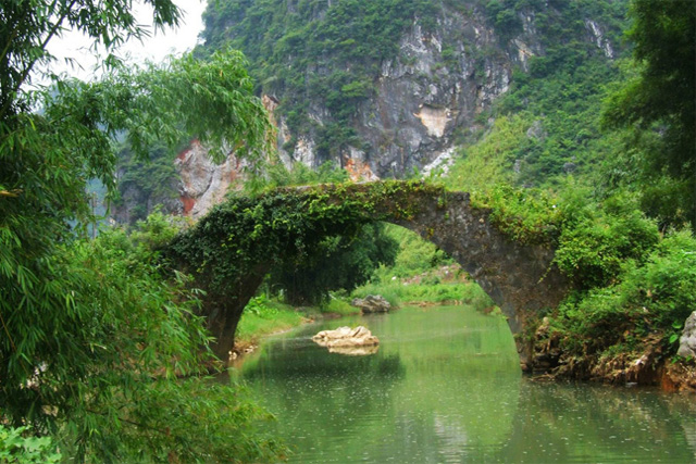 Yingxi Peak Forest Corridor
