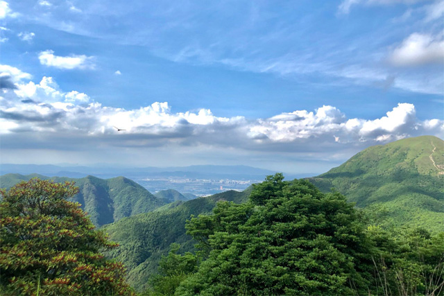 Parco forestale della montagna di Yinping