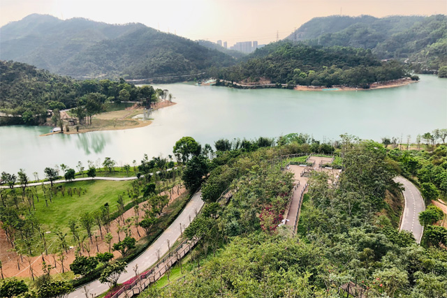 Tianxin Forest Park