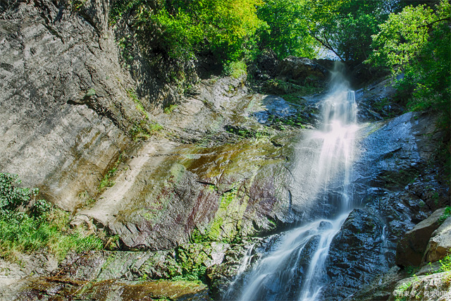 Tonglingshan National Forest Park