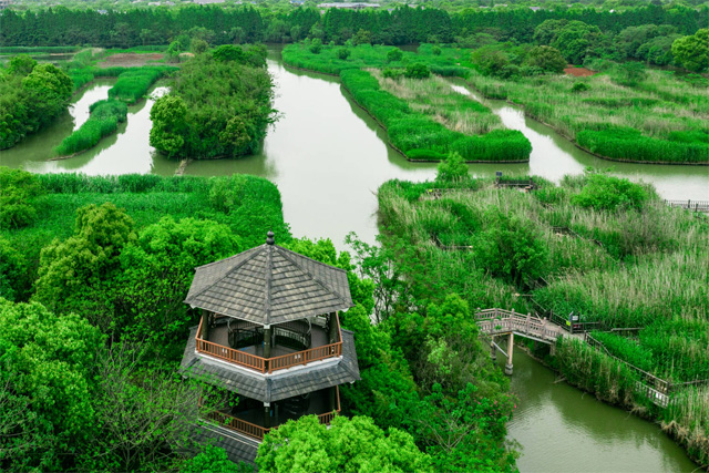 Xiazhu Lake National Wetland Park