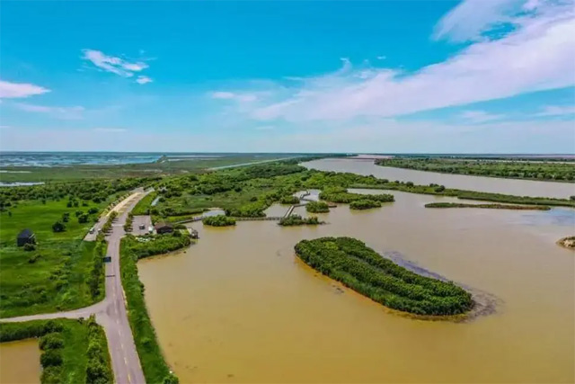 Zone d'écotourisme de Huanghekou, ville de Dongying
