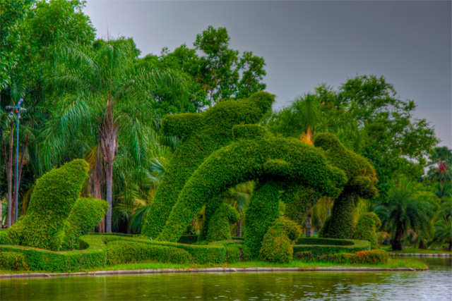 Xiamen Botanical Garden