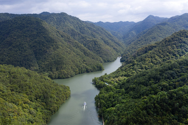 赣州市三百山景区